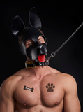 Mister B Temporary Tattoo – Puppy Pack